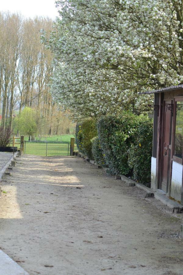B&B Molenzicht Ninove Exterior photo